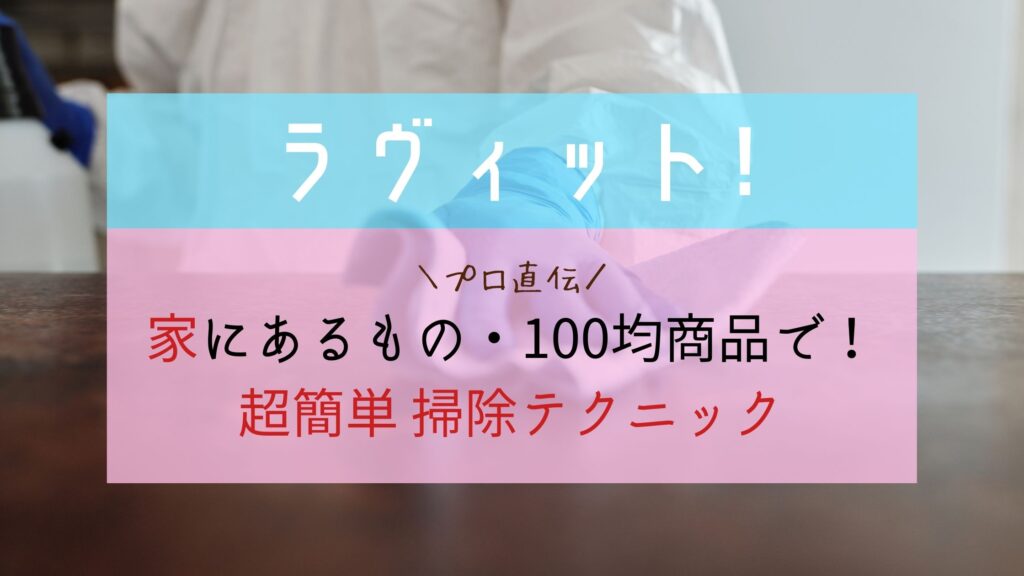 ラヴィット キッチン 洗面所 リビング掃除簡単テクニック プロが教える裏ワザ ぐるめっとれんど