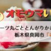 【オモウマい店】栃木県真岡市「寿氷」とんがりかき氷！フルーツ丸しぼり