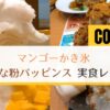 【実食】ココスかき氷2021！マンゴー・黒糖きな粉パッピンスの口コミ・感想